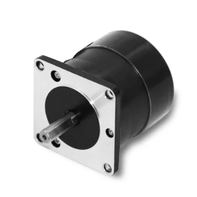 Bürstenloser 24-V-BLDC-Motor mit hohem Drehmoment und 8-Zoll-Rädern